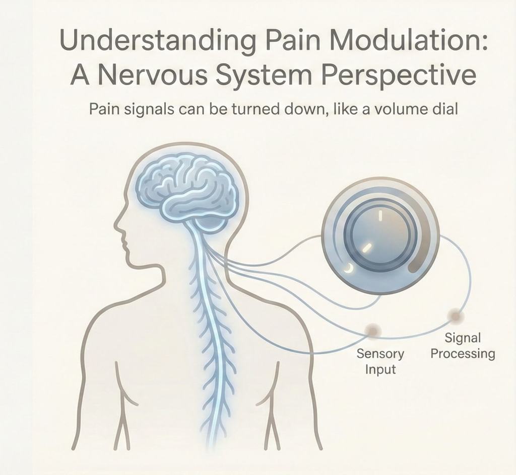 Illustration showing norepinephrine helping regulate pain signals in the nervous system